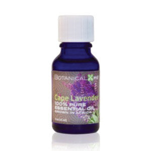 Cape Lavender Essential Oil